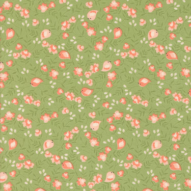 Abloom - Songbird Cucumber