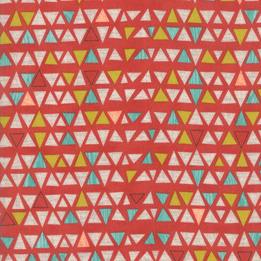 Ninja Cookies - Persimmon Triangles