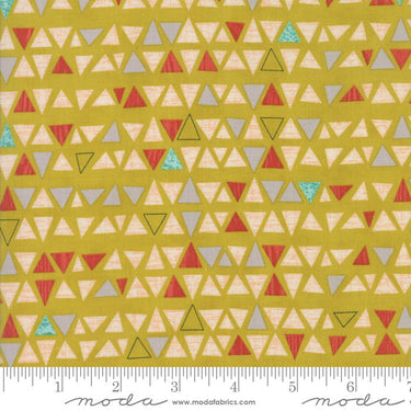 Ninja Cookies - Chartreuse Triangles