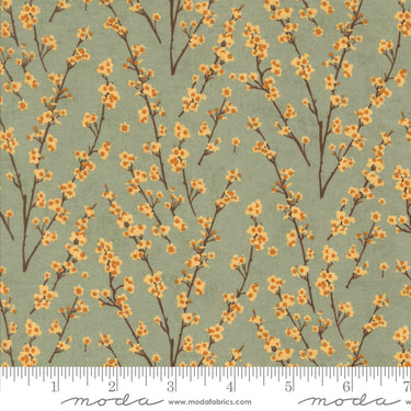 Acorn Hollow - Bundle of 20 Fat Quarters - 2 Free
