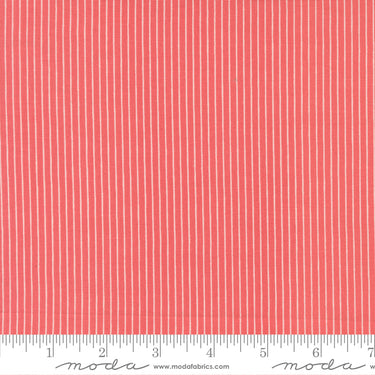 Lyda Rose - Stripes Galore Petal