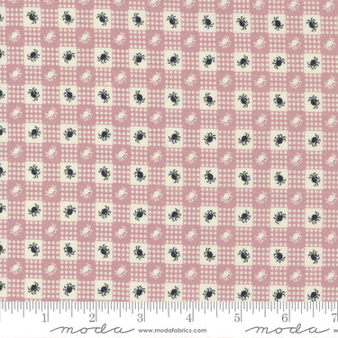 Owl-O-Ween - Spider Gingham Spell