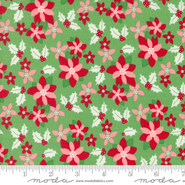 Kitty Christmas - Poinsettia Holly