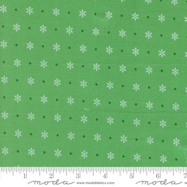 Kitty Christmas - Flurry Holly