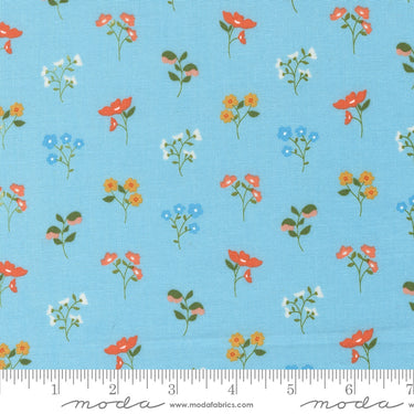 Dainty Meadow - Wildflowers Sky