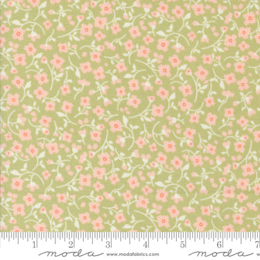 Dainty Meadow - Meadow Pear