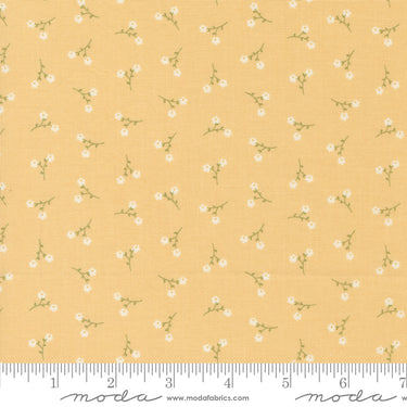 Dainty Meadow - Dainty Toss Buttercup