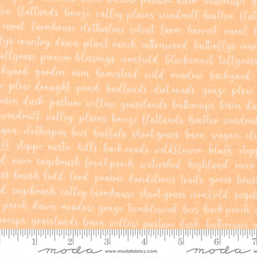 Pastel Prairie - Words Apricot