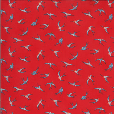 Lulu - Flying Hi Geranium