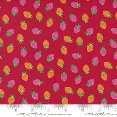 Rainbow Garden - Merry Berry Apple