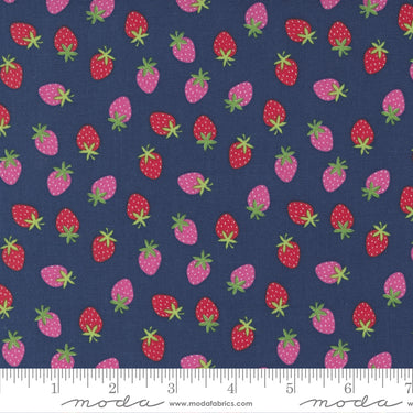 Rainbow Garden - Merry Berry Blueberry