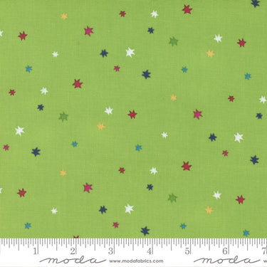 Rainbow Garden - Starburst Sprout