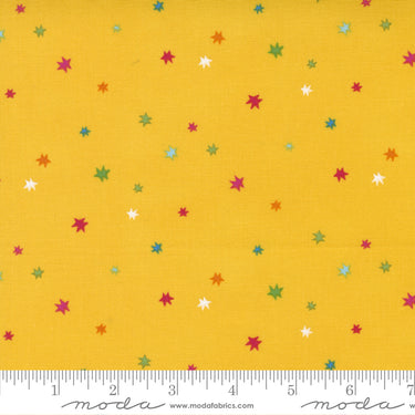 Rainbow Garden - Starburst Sunshine