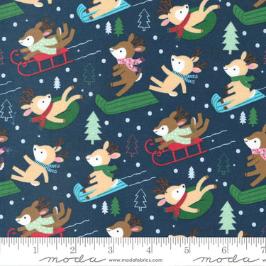 Hello Holidays - Reindeer Night Sky