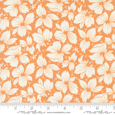 Denim and Daisies - Sunday Best Butterscotch
