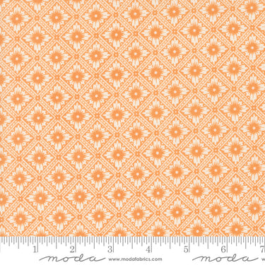 Denim and Daisies - Punched Tin Butterscotch