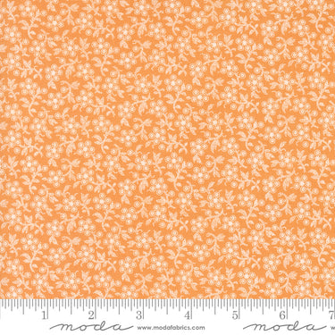 Denim and Daisies - Daisy Fields Butterscotch