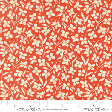 Summer's End - Forget Me Not Persimmon - PRE-ORDER DUE JUNE