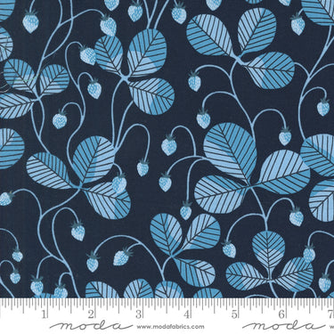 Love Letter by Lizzy House - Virginia Peacoat