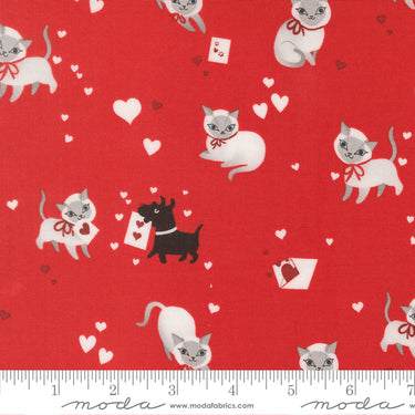 Funny Valentine - Kitty Love
