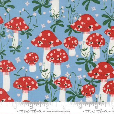 Funny Valentine - Mushrooms Sky