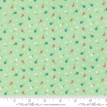 Strawberry Lemonade - Poppies Mint - 23" Bolt End