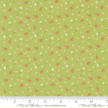 Strawberry Lemonade - Poppies Lime