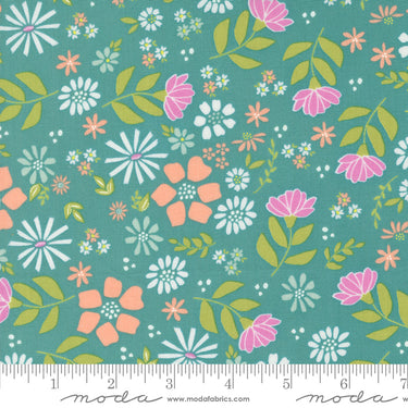 Laguna Sunrise - Wild Rose Teal