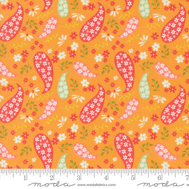 Raspberry Summer - Paisley Apricot