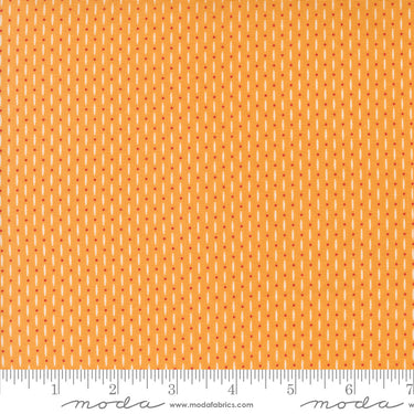 Raspberry Summer - Beaded Apricot