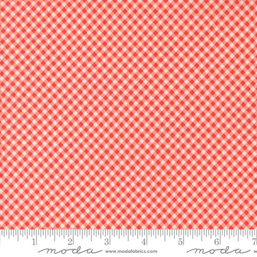 Raspberry Summer - Gingham Carnation