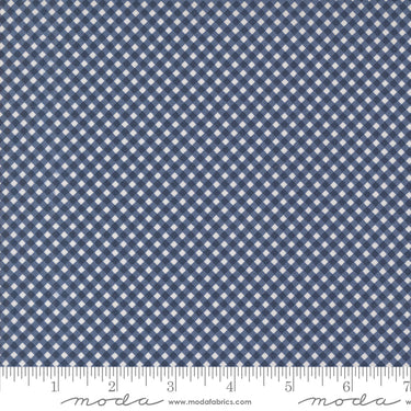 Raspberry Summer - Gingham Blueberry