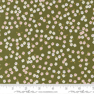 Evermore - Forget Me Not Fern