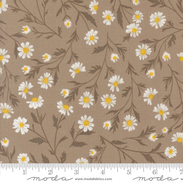 Sun Drenched - Wild Daisy Chain Stone