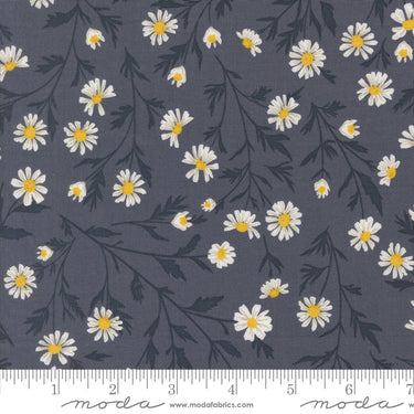 Sun Drenched - Fat Quarter Bundle - 10 FQs with 1 Free (2)