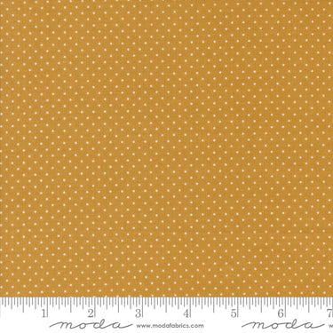 Sun Drenched - Farmhouse Dot Golden
