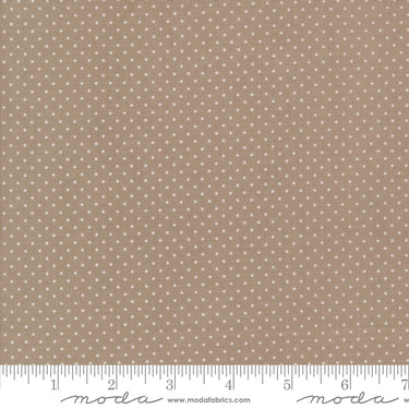 Sun Drenched - Farmhouse Dot Stone