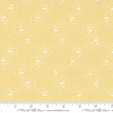 Honeybloom by 3 Sisters - Prancing Posies Honey