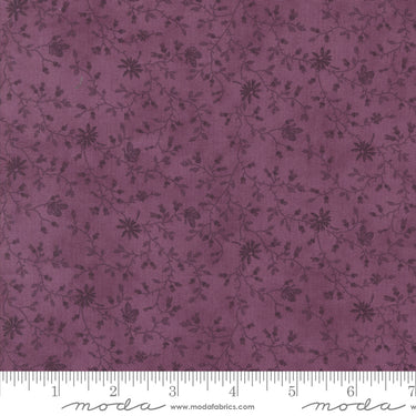 Lavender Fields - Papillion Pansy