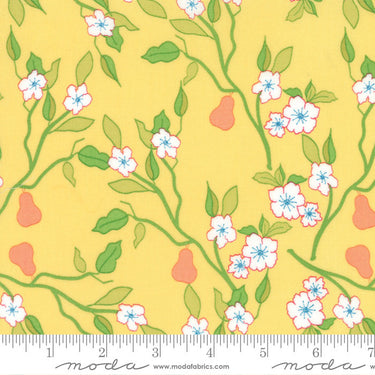 Acreage - Pears Sun