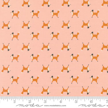 Woodland Wonder - Fox Trot Blush