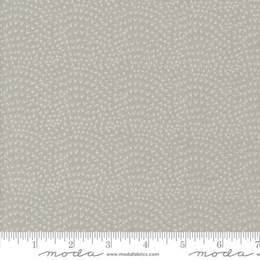 Woodland Wonder - Angle Tangle Fog