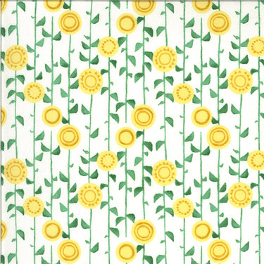 Solana - Stalks Cream