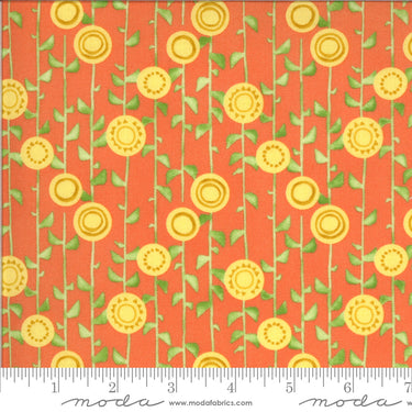 Solana - Stalks Clementine