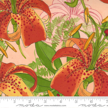 Carolina Lilies - Carolina Lilies Peach