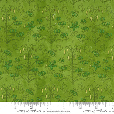 Carolina Lilies - Little Drawings Sprig