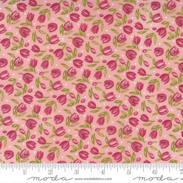 Tulip Tango - Tiny Tulip Princess