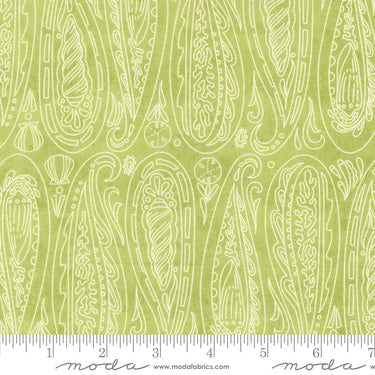 Serena Shores - Paisley Shells Kelp