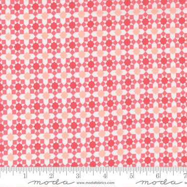 Love Note - First Crush Tea Rose