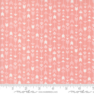 Love Blooms by Lella Boutique - Arrow Stripe Blush